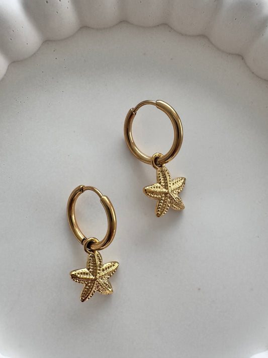 Ohrring Seestern